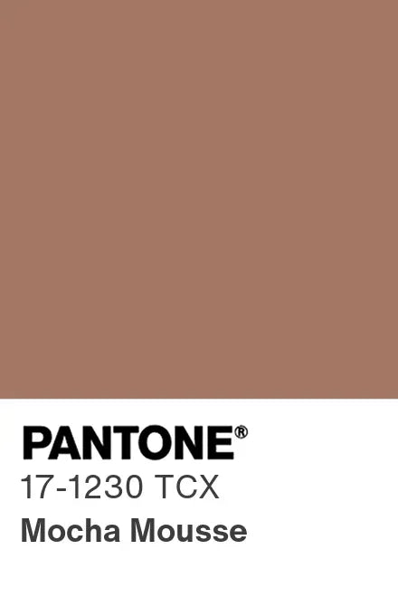 Frankie Dining Chair - Leather Seat in Pantone Mocha Mousse